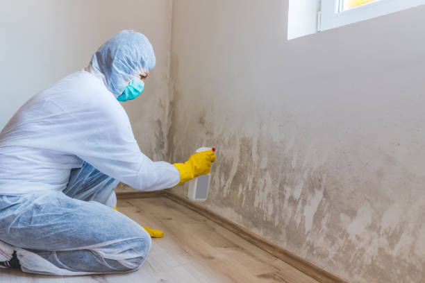 Licensed Mold Inspection And Testing service in Clayton, NC - Mold Remediation HQ