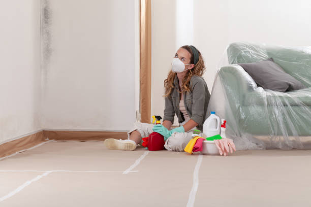 Reliable Mold Inspection And Testing contractor in Clayton, NC by Mold Remediation HQ