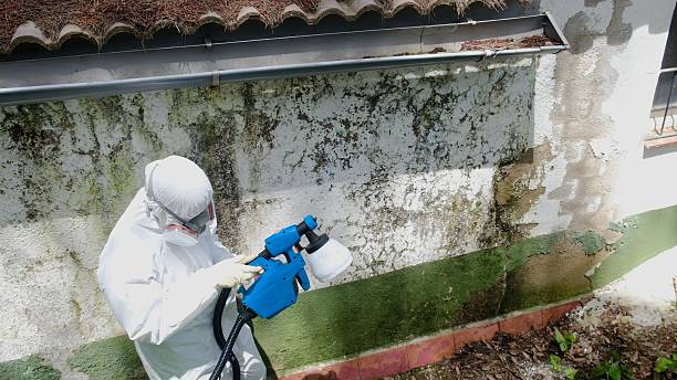 Top rated local Mold Inspection And Testing specialists in Clayton, NC